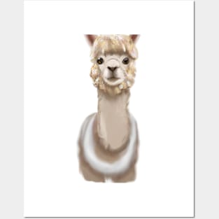 Cute Alpaca Drawing Posters and Art